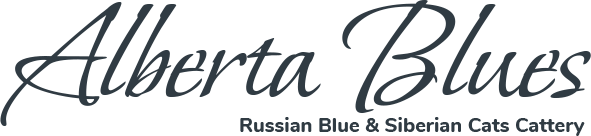 Alberta Blues Logo